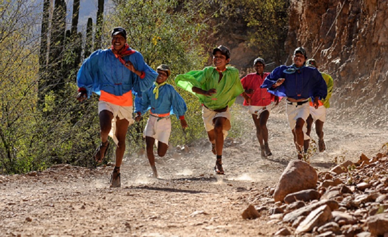 Unleash Your Inner Trailblazer: Finding Your Perfect Ultra Trail Race in Mexico Unleash Your Inner Trailblazer: Finding Your Perfect Ultra Trail Race in Mexico