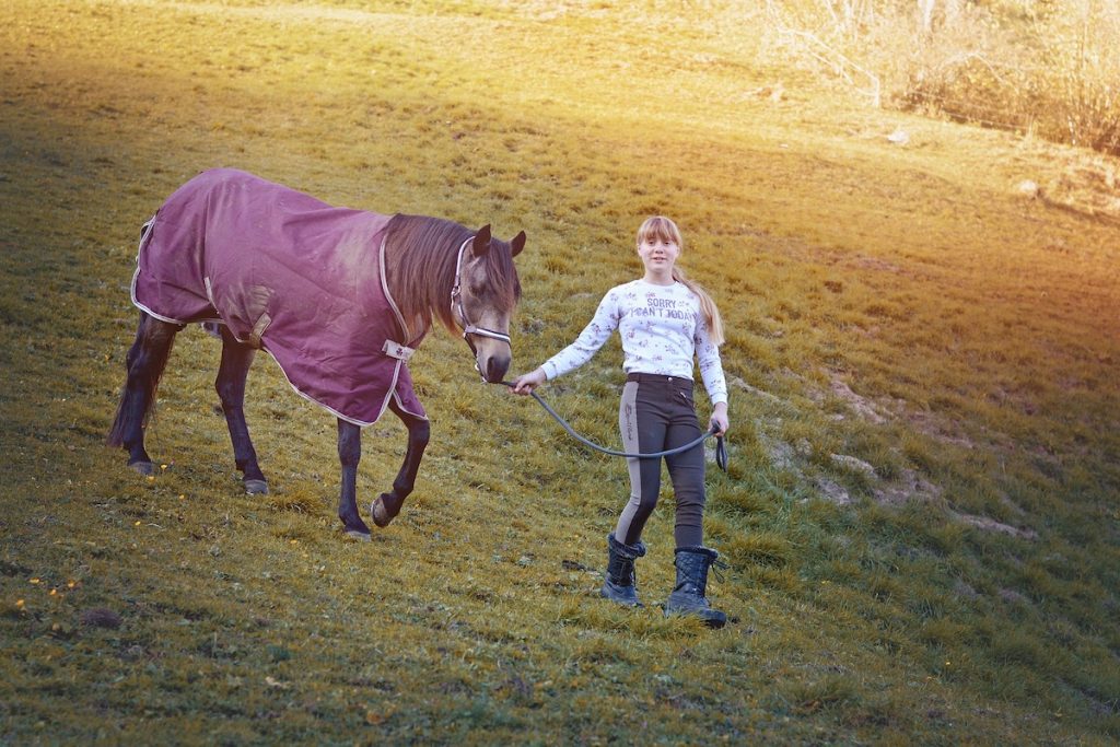 Dos and Don’ts When It Comes to Horse Blankets
